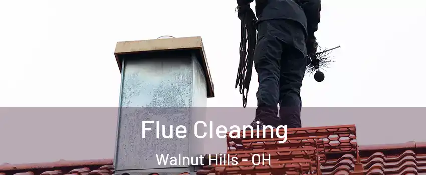 Flue Cleaning Walnut Hills - OH