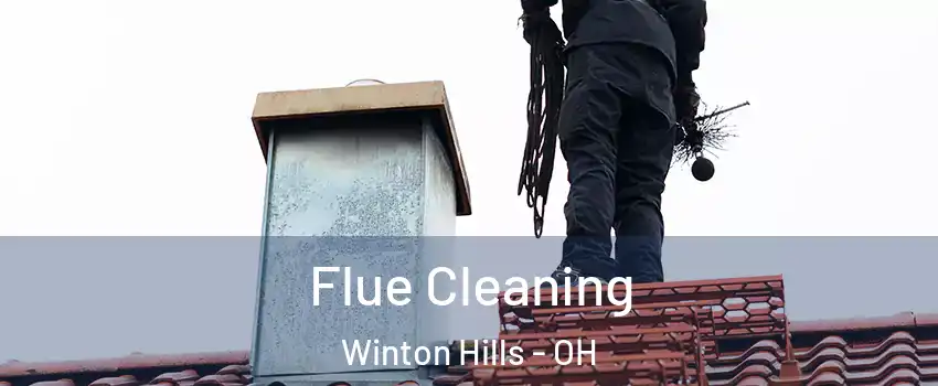 Flue Cleaning Winton Hills - OH