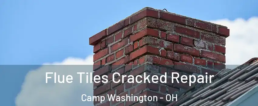 Flue Tiles Cracked Repair Camp Washington - OH