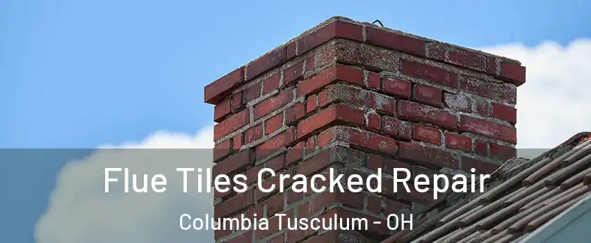 Flue Tiles Cracked Repair Columbia Tusculum - OH