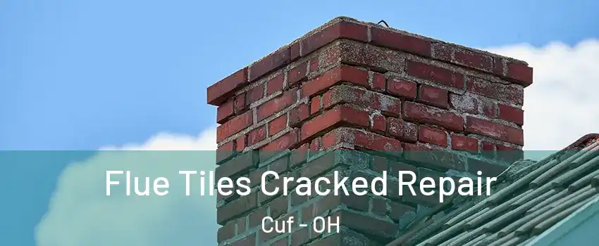 Flue Tiles Cracked Repair Cuf - OH