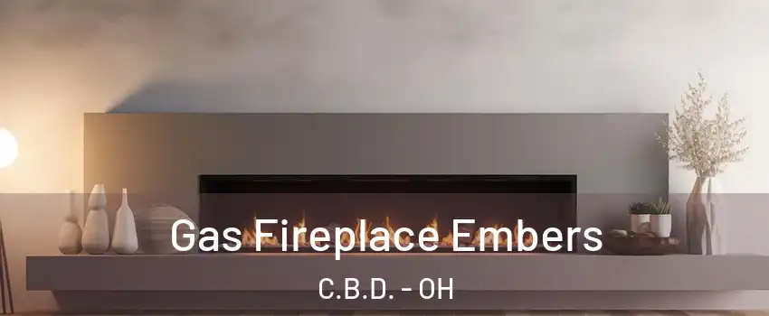 Gas Fireplace Embers C.B.D. - OH