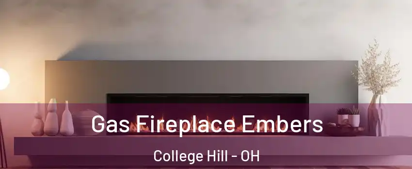 Gas Fireplace Embers College Hill - OH