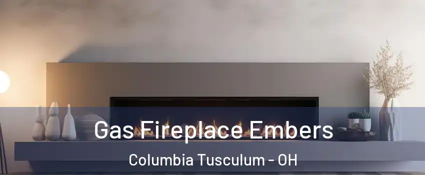 Gas Fireplace Embers Columbia Tusculum - OH