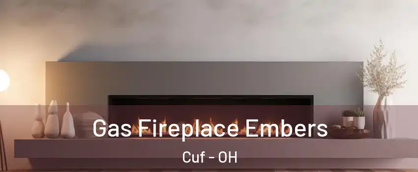 Gas Fireplace Embers Cuf - OH