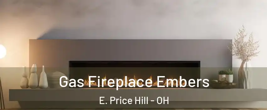 Gas Fireplace Embers E. Price Hill - OH