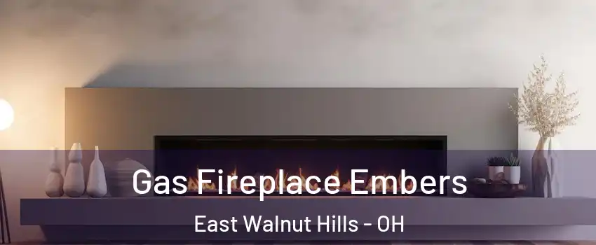 Gas Fireplace Embers East Walnut Hills - OH