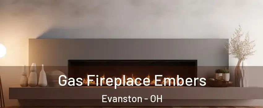 Gas Fireplace Embers Evanston - OH