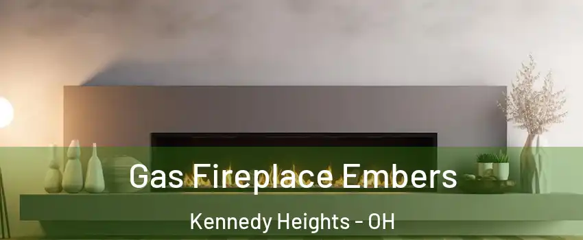 Gas Fireplace Embers Kennedy Heights - OH