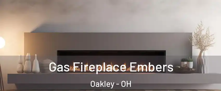 Gas Fireplace Embers Oakley - OH