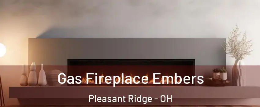 Gas Fireplace Embers Pleasant Ridge - OH