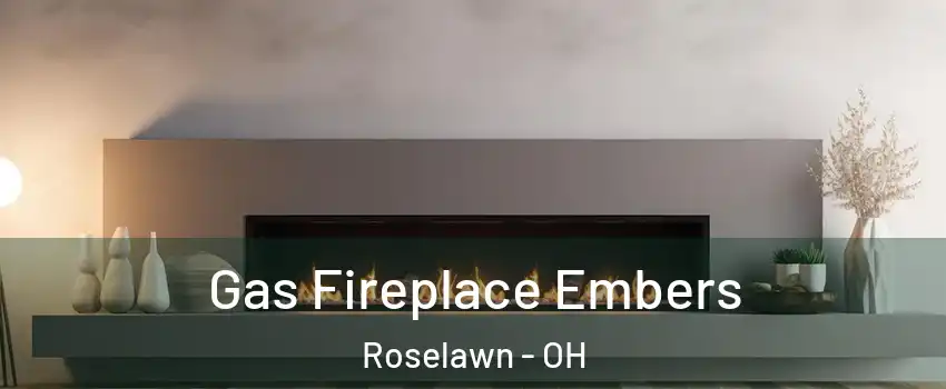 Gas Fireplace Embers Roselawn - OH