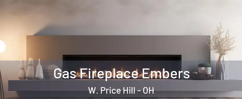 Gas Fireplace Embers W. Price Hill - OH