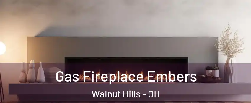 Gas Fireplace Embers Walnut Hills - OH