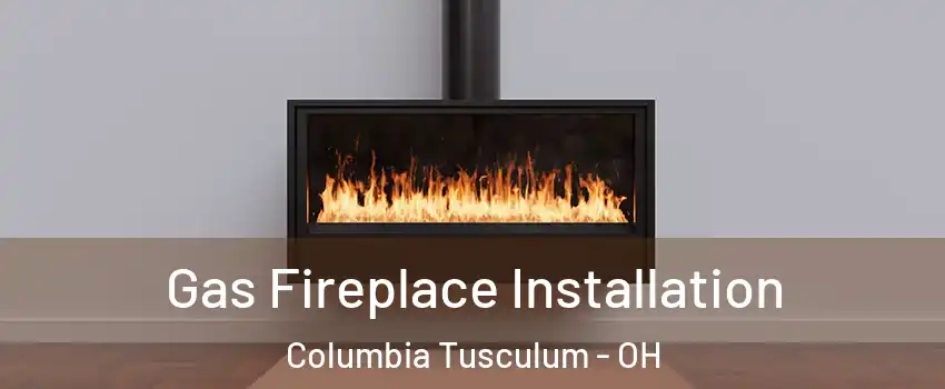 Gas Fireplace Installation Columbia Tusculum - OH