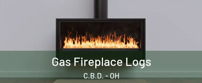 Gas Fireplace Logs C.B.D. - OH