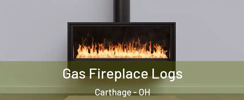 Gas Fireplace Logs Carthage - OH