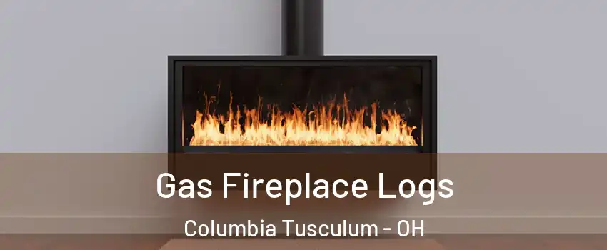 Gas Fireplace Logs Columbia Tusculum - OH