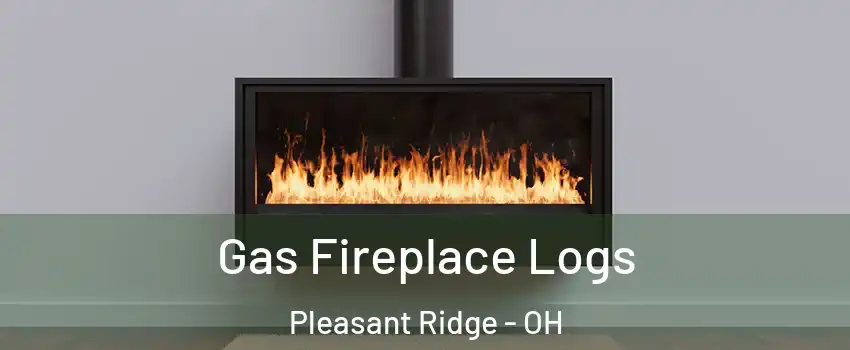 Gas Fireplace Logs Pleasant Ridge - OH