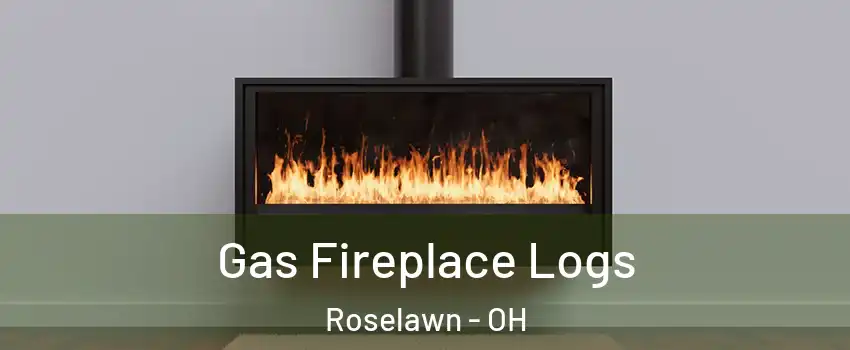 Gas Fireplace Logs Roselawn - OH