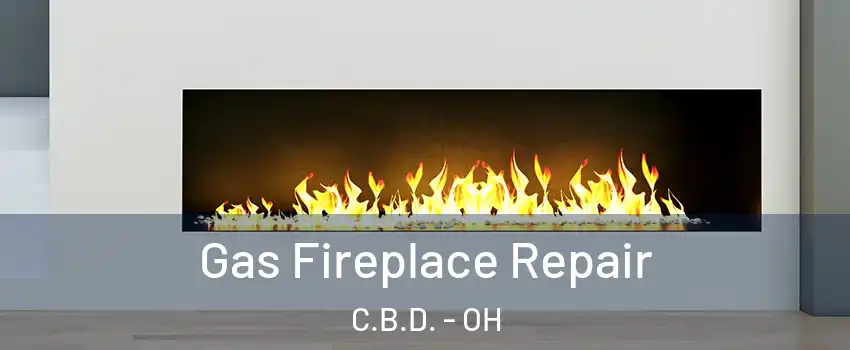 Gas Fireplace Repair C.B.D. - OH