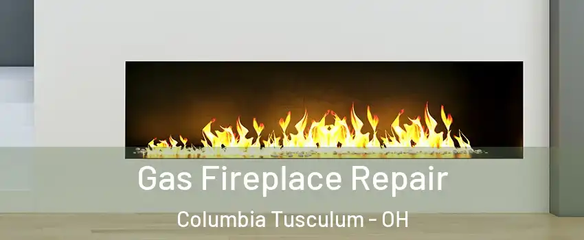 Gas Fireplace Repair Columbia Tusculum - OH