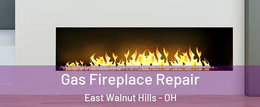 Gas Fireplace Repair East Walnut Hills - OH