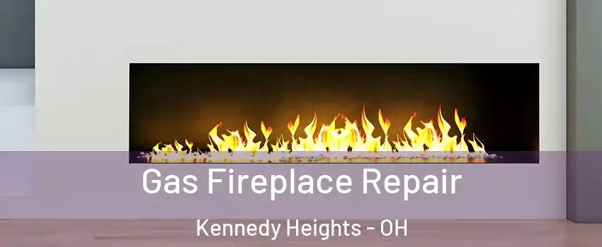 Gas Fireplace Repair Kennedy Heights - OH