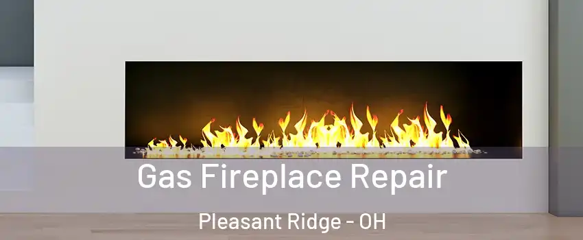 Gas Fireplace Repair Pleasant Ridge - OH