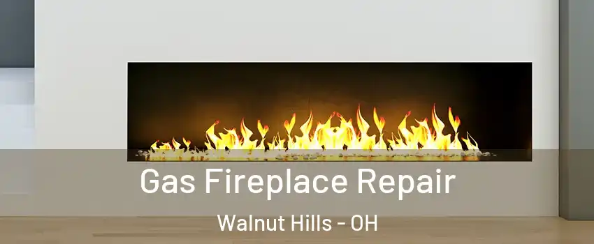 Gas Fireplace Repair Walnut Hills - OH