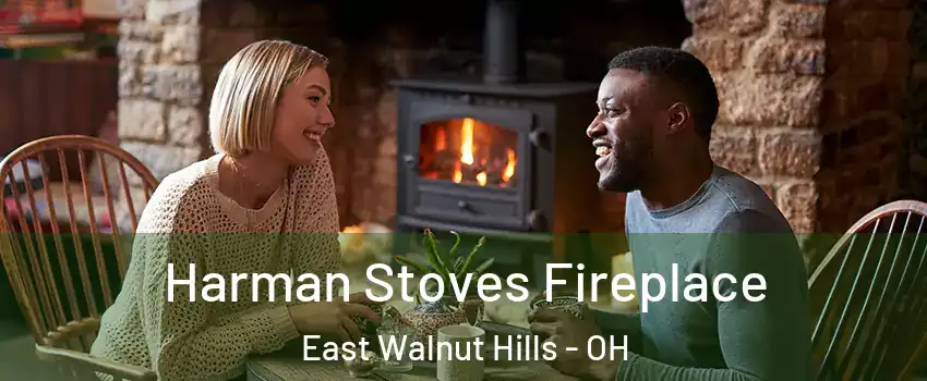 Harman Stoves Fireplace East Walnut Hills - OH