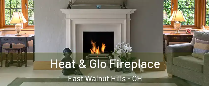 Heat & Glo Fireplace East Walnut Hills - OH