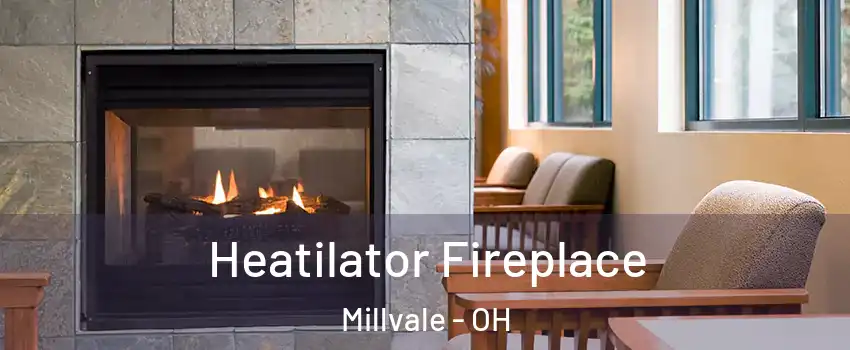 Heatilator Fireplace Millvale - OH