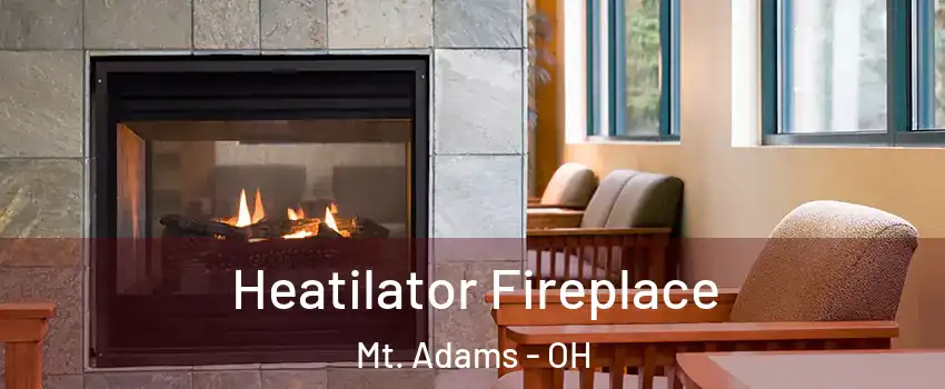 Heatilator Fireplace Mt. Adams - OH