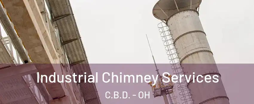 Industrial Chimney Services C.B.D. - OH