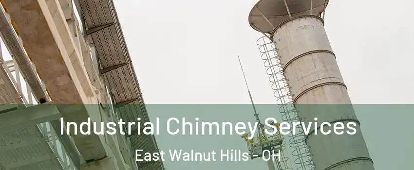 Industrial Chimney Services East Walnut Hills - OH