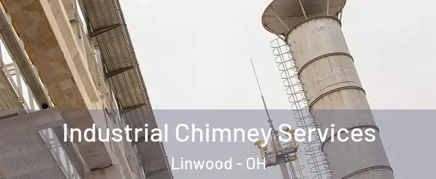 Industrial Chimney Services Linwood - OH