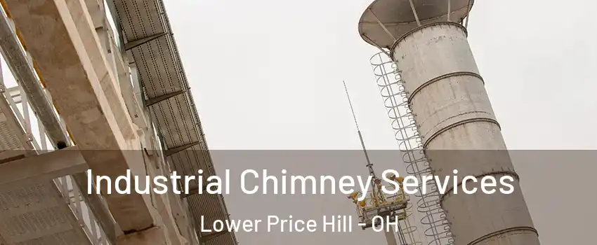 Industrial Chimney Services Lower Price Hill - OH