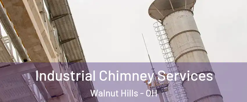 Industrial Chimney Services Walnut Hills - OH