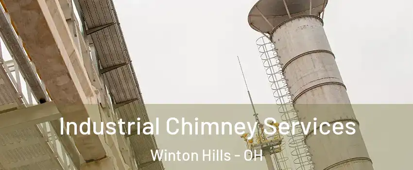 Industrial Chimney Services Winton Hills - OH