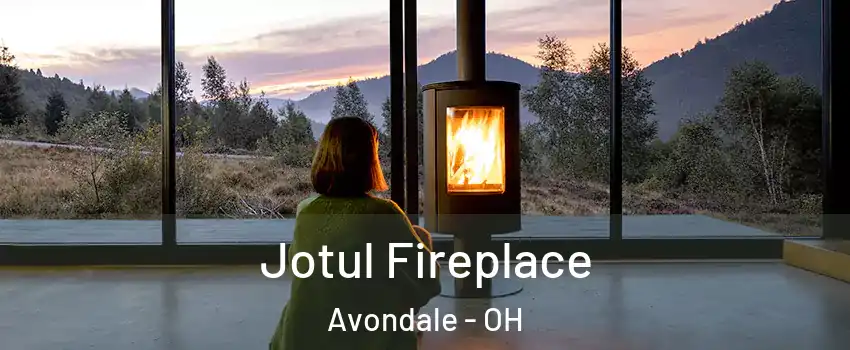 Jotul Fireplace Avondale - OH