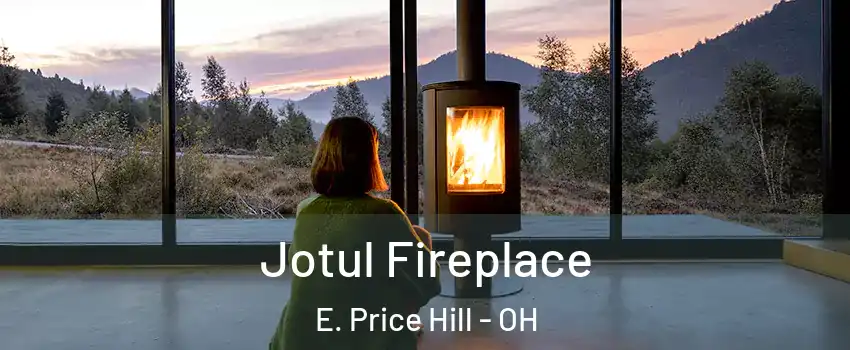 Jotul Fireplace E. Price Hill - OH