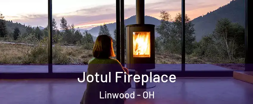 Jotul Fireplace Linwood - OH