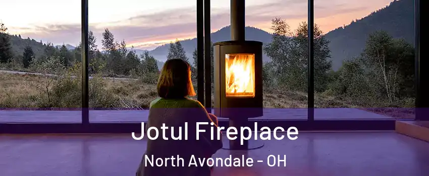 Jotul Fireplace North Avondale - OH