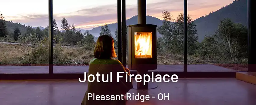 Jotul Fireplace Pleasant Ridge - OH