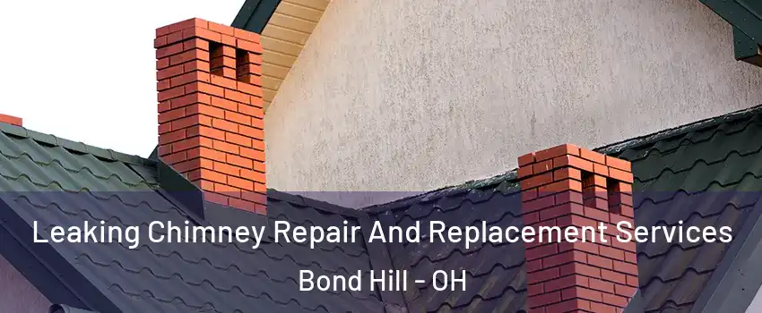 Leaking Chimney Repair And Replacement Services Bond Hill - OH