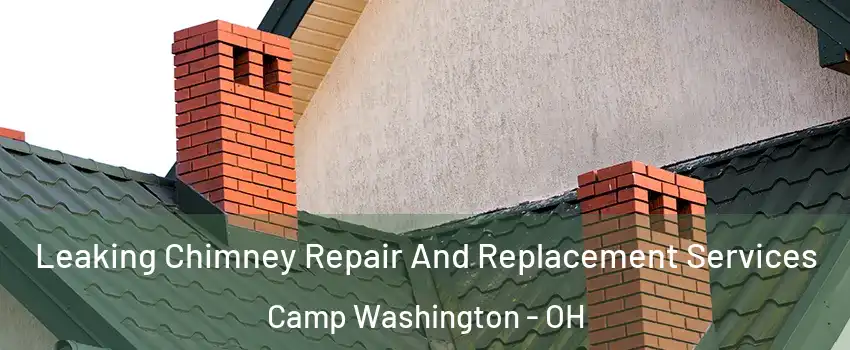 Leaking Chimney Repair And Replacement Services Camp Washington - OH