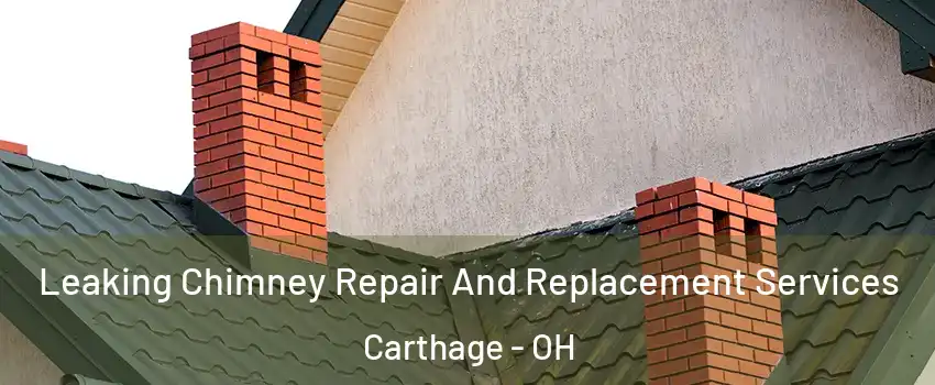 Leaking Chimney Repair And Replacement Services Carthage - OH