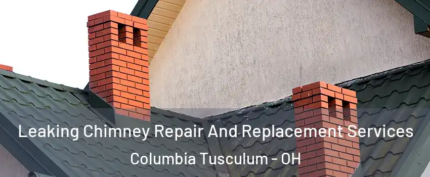 Leaking Chimney Repair And Replacement Services Columbia Tusculum - OH