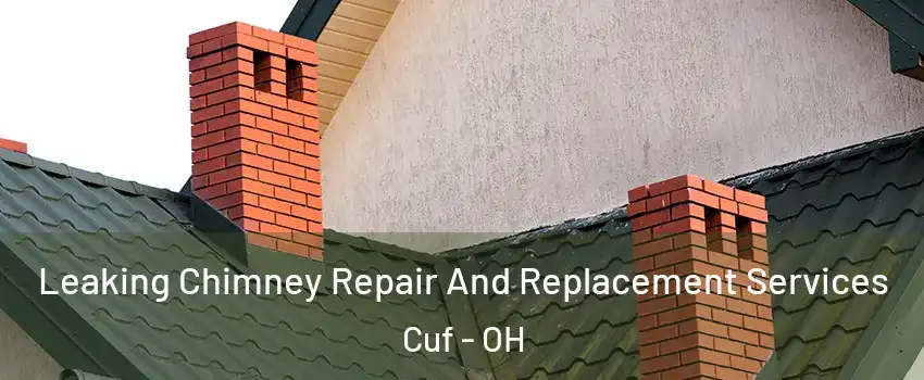 Leaking Chimney Repair And Replacement Services Cuf - OH